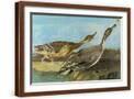 Brown Frame
