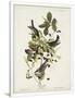 Gramercy White