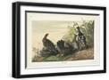 Black Frame