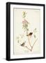 Black Frame