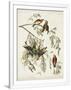Gramercy White