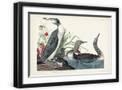Black Frame