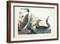 Brown Frame