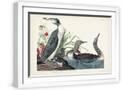 White Frame