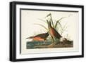 Black Frame