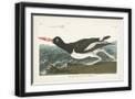 Black Frame