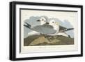 Black Frame