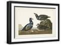 Black Frame