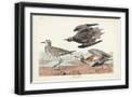 Black Frame