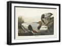 Black Frame