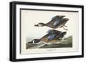 Black Frame