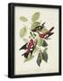 Essential Black