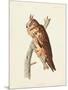 Wood Mount
