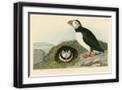 Black Frame