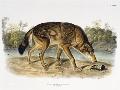 Just the Print
