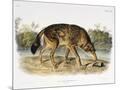 Wood Mount