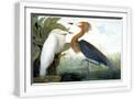 White Frame