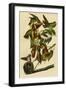 Black Frame