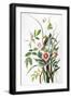 Black Frame