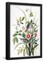 Essential Black