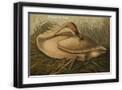Black Frame