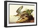Black Frame