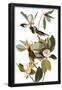 Essential Black