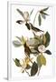 Gramercy White