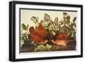 Black Frame