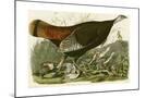 Wood Mount