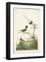 Black Frame