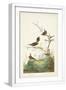 White Frame