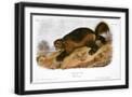 Black Frame