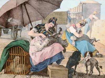 The Dog Groomers, 1820