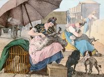 The Dog Groomers, 1820-John James Chalon-Giclee Print