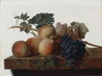 Still Life, 1810-John Johnston-Giclee Print