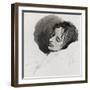 John Keats in His Last Illness, from 'The Century Illustrated Monthly Magazine', May to October,…-Joseph Severn-Framed Giclee Print