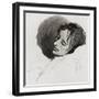 John Keats in His Last Illness, from 'The Century Illustrated Monthly Magazine', May to October,…-Joseph Severn-Framed Giclee Print