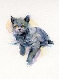 Grey Kitten, 2017-John Keeling-Giclee Print