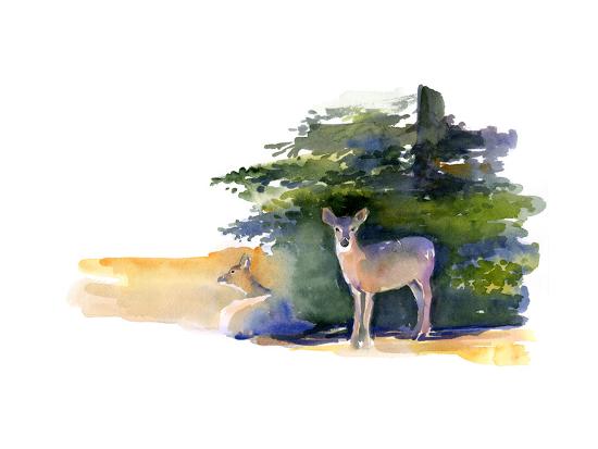 Giclee Print, , large