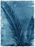 Sago Palm-John Kuss-Framed Giclee Print