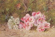 Butterfly and Flowers-John Kynnersley Kirby-Giclee Print