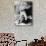 John L. Sullivan-American Photographer-Giclee Print displayed on a wall