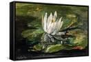 Canvas Black