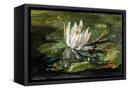 Canvas Black