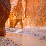 Swirling Sandstone in Lower Antelope Canyon Near Page, Arizona-John Lambing-Photographic Print