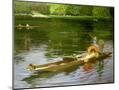 Wood Mount