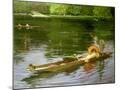 Wood Mount