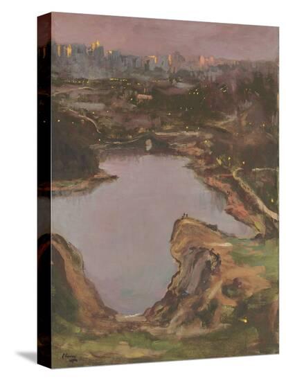 Stretched Canvas Print, , large