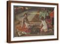 Brown Frame
